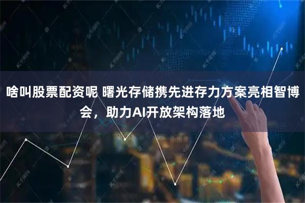 啥叫股票配资呢 曙光存储携先进存力方案亮相智博会，助力AI开放架构落地