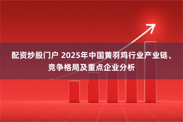配资炒股门户 2025年中国黄羽鸡行业产业链、竞争格局及重点企业分析