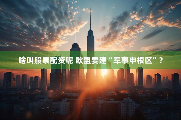啥叫股票配资呢 欧盟要建“军事申根区”？
