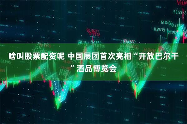 啥叫股票配资呢 中国展团首次亮相“开放巴尔干”酒品博览会